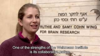 A Direct PhD Program In Neuroscience and Brain Sciences at the Weizmann Institute of Science 2 [upl. by Ahsaret]