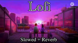 Love Lofi Mashup  Best Songs Mashup  Hindi Lofi [upl. by Isiahi]