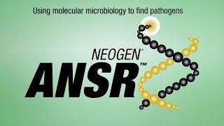 Neogen ANSR Pathogen Detection [upl. by Dnomal]