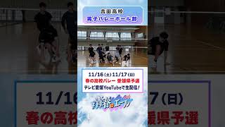 春高バレー2024意気込み動画 [upl. by Marysa426]