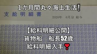 一か月間丸々海上生活【給料明細公開】貨物船の船長52歳の明細入手❣ [upl. by Libbi]