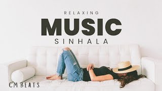 Ultimate Sinhala Song Compilation for Relaxation  හොඳම ටික එක දිගට slowed  bass boosted [upl. by Keary]