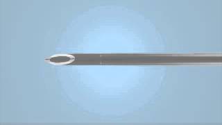 Abbott Veterinary Peripheral IV Catheters [upl. by Wanids226]