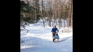 Kicksledding with Kiddos [upl. by Ameen]