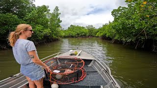 Set and Check Crab Pots  MUD CRABBING [upl. by Notaes187]