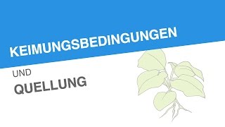 KEIMUNGSBEDINGUNGEN UND QUELLUNG  Biologie  Biologie der Pflanzen und Pilze Mittelstufe [upl. by Cindy656]