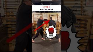 How To Do KEMPO Gyaku Zuki in a FIGHT 💥 Shorts Kenpo Kempo [upl. by Thedrick]