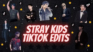 SKZ TIKTOK EDITS THAT WILL MAKE YOU A PROUD STAY 50 MIN EDITION 10K SPECIAL [upl. by Denna]