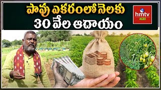 పావు ఎకరంలోనెలకు 30 వేల ఆదాయం  Best Income Source For Multicrops Farming  Srisailam Pittala  hmtv [upl. by Whalen103]