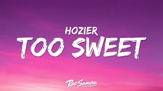 Hozier  Too Sweet Lyrics quotyoure too sweet for mequot [upl. by Oflodur]