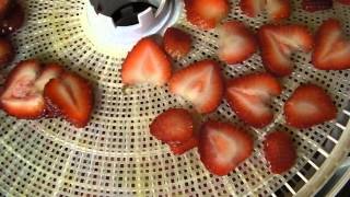 How to Dehydrate Strawberries [upl. by Concordia]