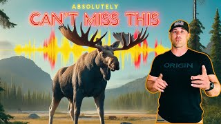 How to Game Plan for a Successful Moose Hunt [upl. by Celisse832]