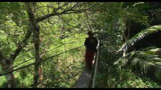 Im celebrity get me out of here 2009 E12 P3 [upl. by Immac]