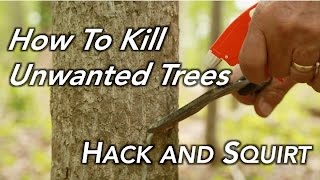 How To Kill a Tree  Hack and Squirt [upl. by Alvera]