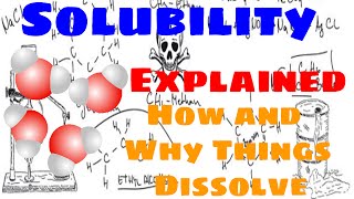 Solubility Explained [upl. by Benilda782]