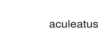 How to pronounce aculeatus [upl. by Leaw]