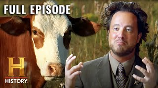 Ancient Aliens Hybrid Creatures that are Part Man Part Animal S1 E3  Full Episode [upl. by Ellertnom579]