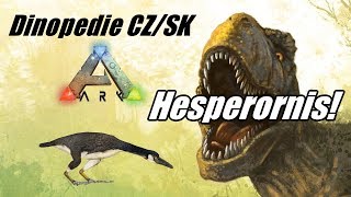 ARK  Dinopedie  Hesperornis CZSK [upl. by Couchman]