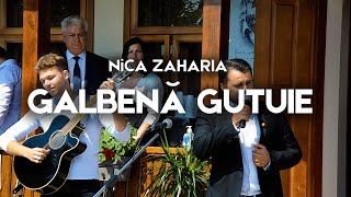 GALBENA GUTUIE  Live Guitar Cover by Victor Granetsky amp Valera Ciobanu [upl. by Undis]