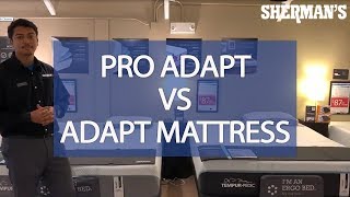 Pro Adapt VS Adapt Mattress [upl. by Annoerb]