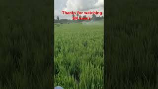 farmer farming agriculture villagelife song music telugu drone dronevideo [upl. by Ripleigh]