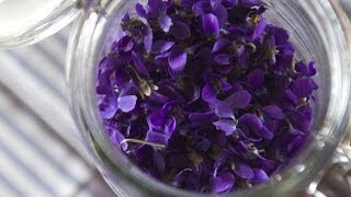 Making Perfume from Violets Enfleurage  Fresh P [upl. by Lombardy]