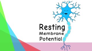 Resting Membrane PotentialBangla [upl. by Eydnarb710]