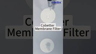 PTFE Membrane Filters SO LOW extractables cobetter PTFE protein membrane filtration [upl. by Sutsugua]