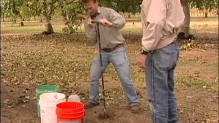 Taking Soil Samples Part 3 Taking Samples in the Orchard [upl. by Donaldson]