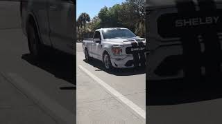 SHELBY F150 DOES A ROLLING BURNOUT ytshorts subscribe views carshow [upl. by Celina]