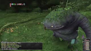 Lets Play Final Fantasy XI Online Retail  Episode 275  Collecting Silver AMAN Vouchers  Fun [upl. by Ely516]