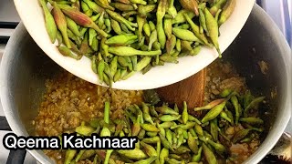 how to make keema kachnar  keema kachnar recipe in urdu  qeeman kachnaar by zaiqa [upl. by Giff396]