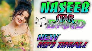 Naseeb Star Band MP3 Timli NonStop Timli Song naseeb naseebstarband newsong [upl. by Anitnelav]