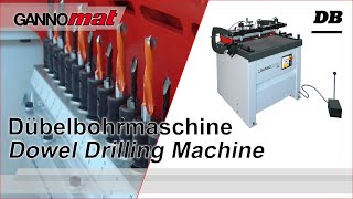 GANNOMAT DB 21  Dübelbohrmaschine  Multi Boring and Dowel Drilling Machine [upl. by Esiocnarf]