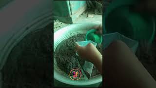 Frozen Artemia kerala live fishfood feed artemia keralafishfarm fish shorts growth [upl. by Athelstan]