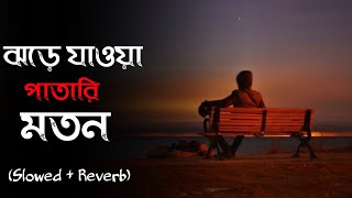 Jhore Jawa Patari Moton Lofi  ঝড়ে যাওয়া পাতারি মতন  Jisan Khan Shuvo  LoFi VoicE OFFICIAL [upl. by Benetta]