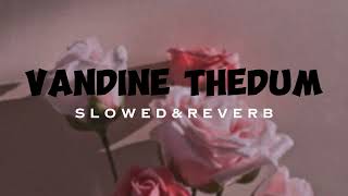 Vadine Thedum Song S L O W E D amp R E V E R B  LOFI [upl. by Viridis]