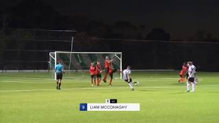 Highlights Round 2  Northern Tigers v Blacktown Spartans  NPL 2 NSW Mens 2018 [upl. by Sehguh]