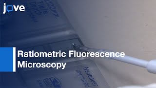 Ratiometric Fluorescence Microscopy to Measure Phagosome pH  Protocol Preview [upl. by Rik]