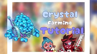 MY COOKIE RUN KINGDOM FARMING TUTORIAL  CRYSTAL FARMING ROUTINE  crk beginners [upl. by Egdamlat721]