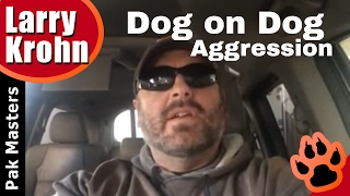 Discussion on dog on dog aggression in the same home [upl. by Doi]