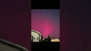 Northern lights California 101124 northernlights shorts [upl. by Ibed179]