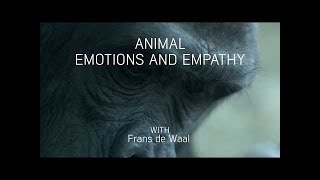 Animal emotions and empathy with Frans de Waal [upl. by Hogue926]