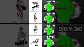 How to GET a LARGER BACK Using DUMBBELLS Top Exercises [upl. by Imiaj]