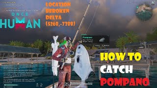 How to catch Pompano Fish  Once Human [upl. by Anaugahs]