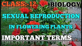 Biology class 12 chapter 2 sexual reproduction in flowering plants important terms [upl. by Ahseena]