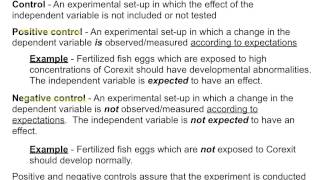 Hypotheses Variables and Controls [upl. by Graves]