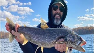 Jigging for lake trout Lake trout fishing slowpitchjigging  fishing fish jigging trout [upl. by Hebert906]