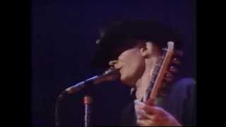 Johnny Winter  Live  Massey Hall Toronto 1983 complete show [upl. by Uranie]