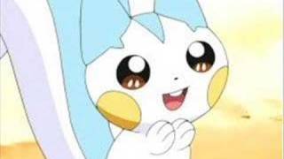 my Cute pachirisu icon [upl. by Reyaht908]